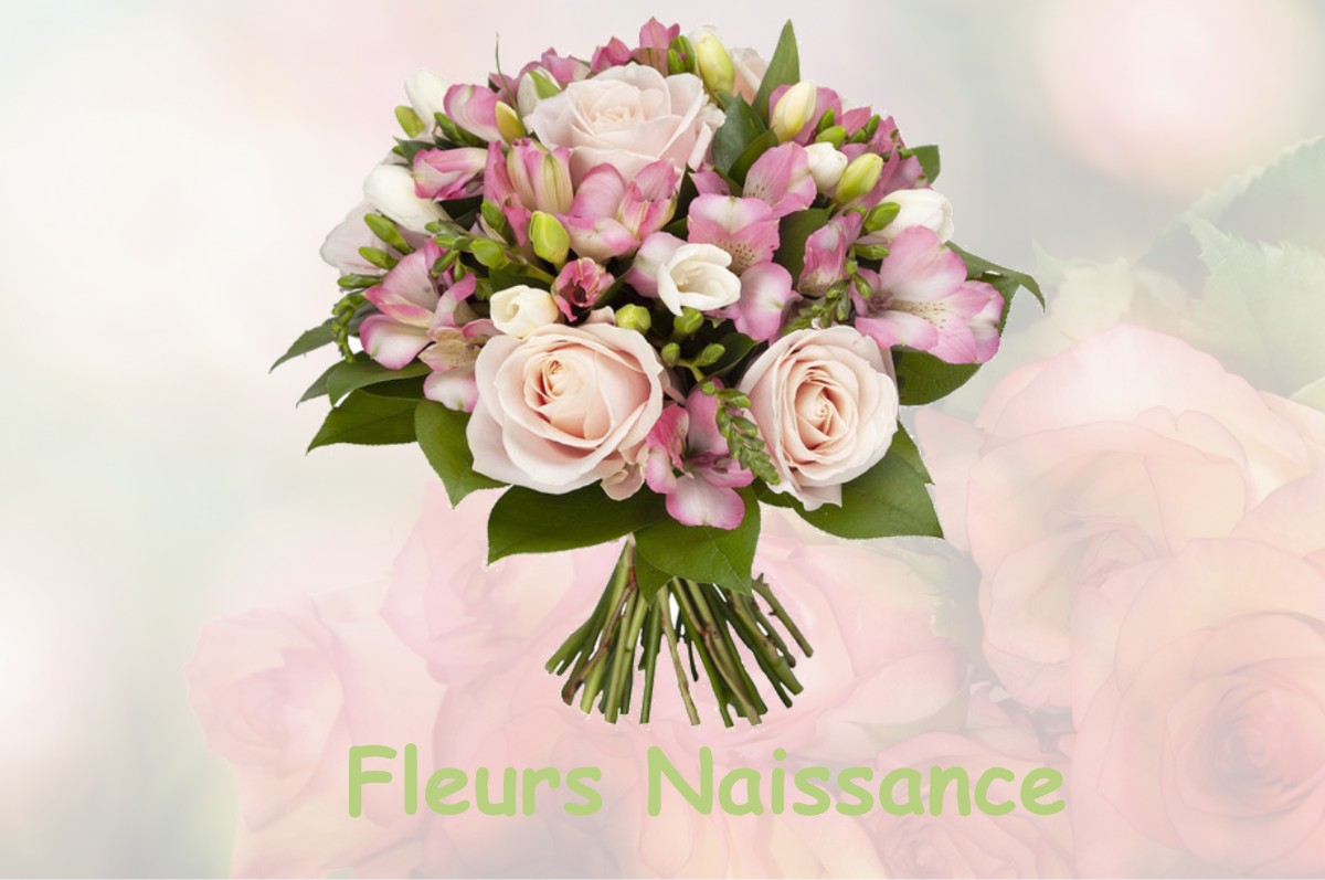 fleurs naissance FOURQUEVAUX