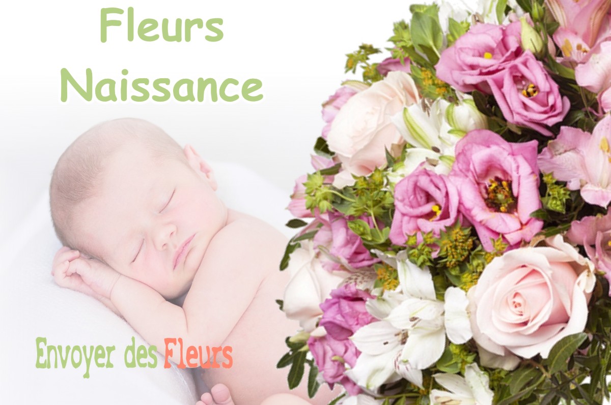 lIVRAISON FLEURS NAISSANCE à FOURQUEVAUX